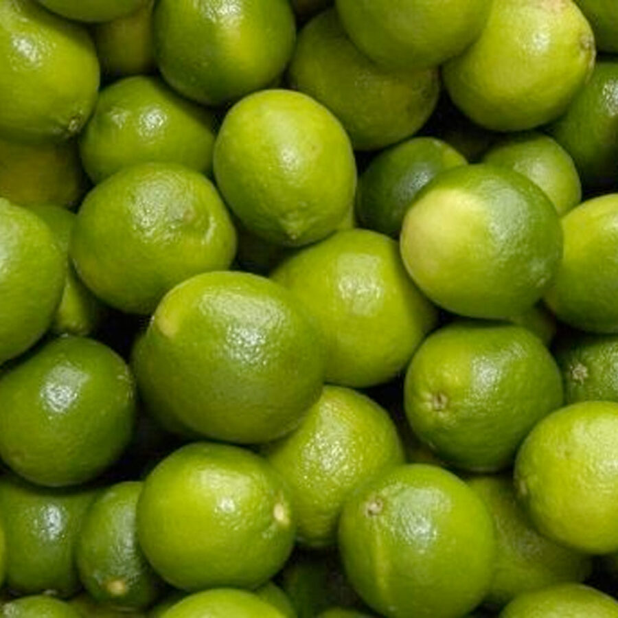 Lime Juice Concentrate Cloudy 12 Taste