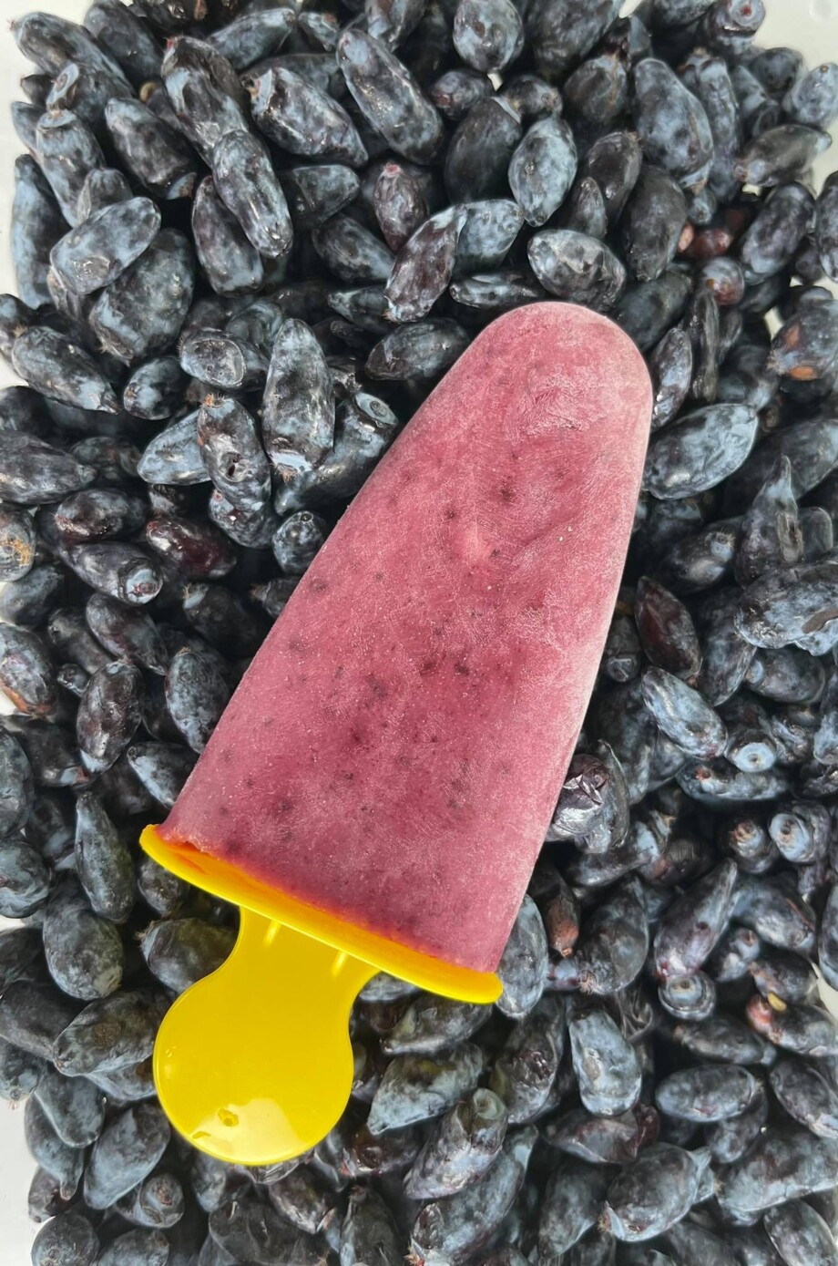 Nutracevit Organic Haskap Berry (Lonicera caerulea) IQF, Class A IQFOHB 12Taste EU