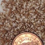 1-2 Taste Blonk Quality Ingredients - Organic Teff Flakes shown as close-up of coarse brown teff flakes with coin for scale