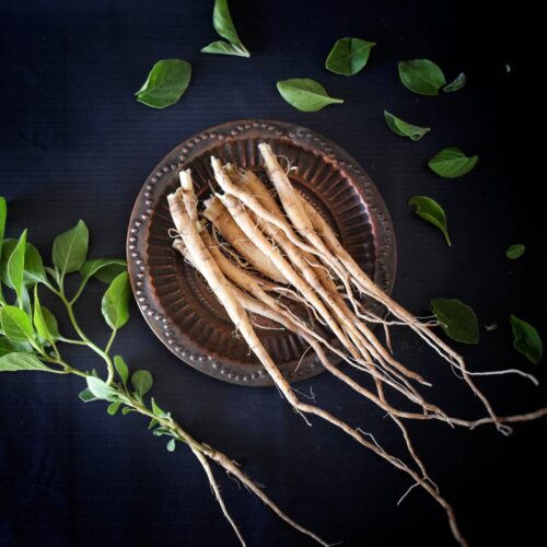 1-2 Taste Bharadwaj Ayurveda - Natural Ashwagandha – whole dried roots displayed on a rustic plate with fresh green leaves on a dark background