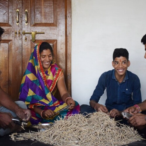 Bharadwaj Ayurveda Natural Ashwagandha – community-based sorting of dried Ashwagandha roots by local farmers