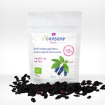 1-2-Taste pack of Nutracevit - Organic Haskap Berry Dried (Lonicera caerulea) - DOHB with scattered berries on white background