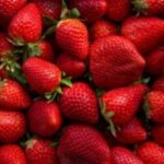 Strawberry Juice Concentrate 12Taste