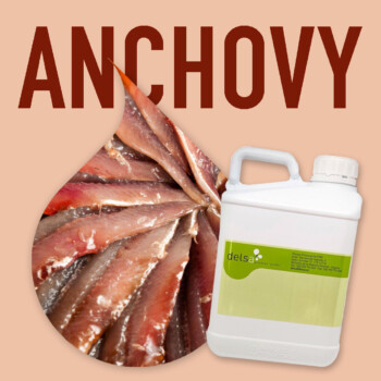 AJO1034N anchois 4kg