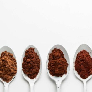 deZaan cocoa powders pour les professionnels