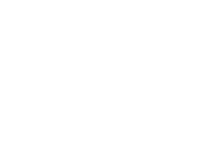 deZaan Logo Complet Blanc RVB