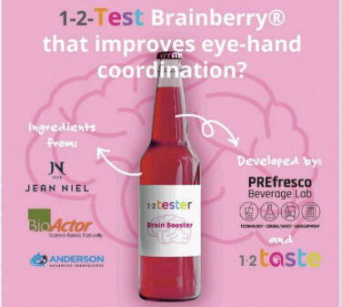 Brainberry e1684993985423