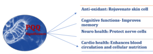 PQQ significance in health