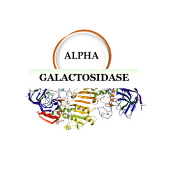 logo alpha galactosidase 2