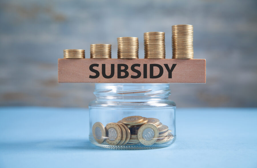 Subsidie share
