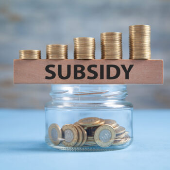Subsidie share