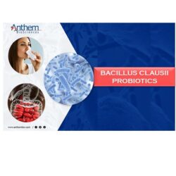 Anthem Biosciences – Bacillus clausii Probiotic Bacterium