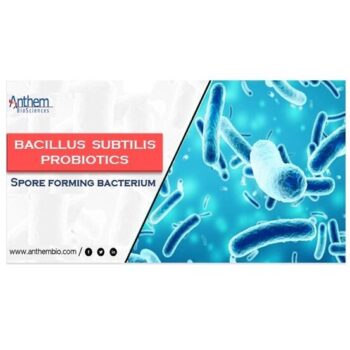 Anthem Biosciences – Bacillus Subtilis Probiotica