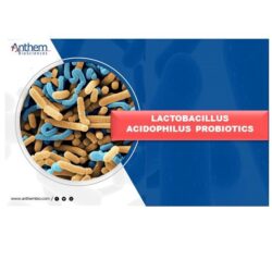 Anthem Biosciences – Lactobacillus acidophilus Probiotic