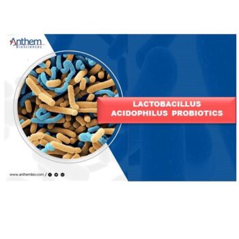 Anthem Biosciences – Probiotique Lactobacillus acidophilus