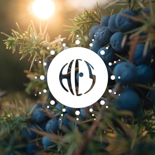 Natural Flavouring Juniper 12 Taste