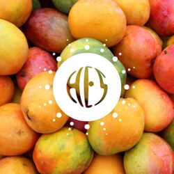 Mango 12 HESF