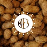 Natural Flavouring Peanut 12 Taste