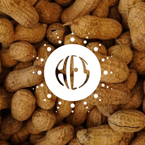 Natural Flavouring Peanut 12 Taste