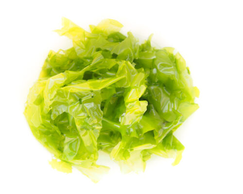 Seaweed-plate