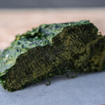 Dutch Seaweed Group – Sea Lettuce Freshly Frozen 12 Taste