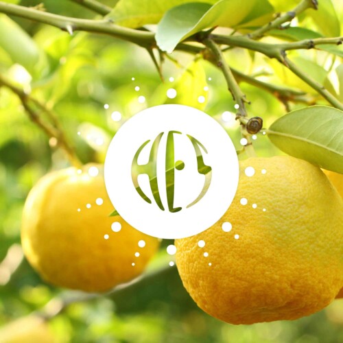 Natural Flavouring Yuzu 12 Taste