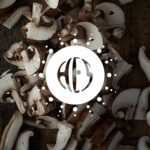 Natural Flavouring Mushroom 12 Taste