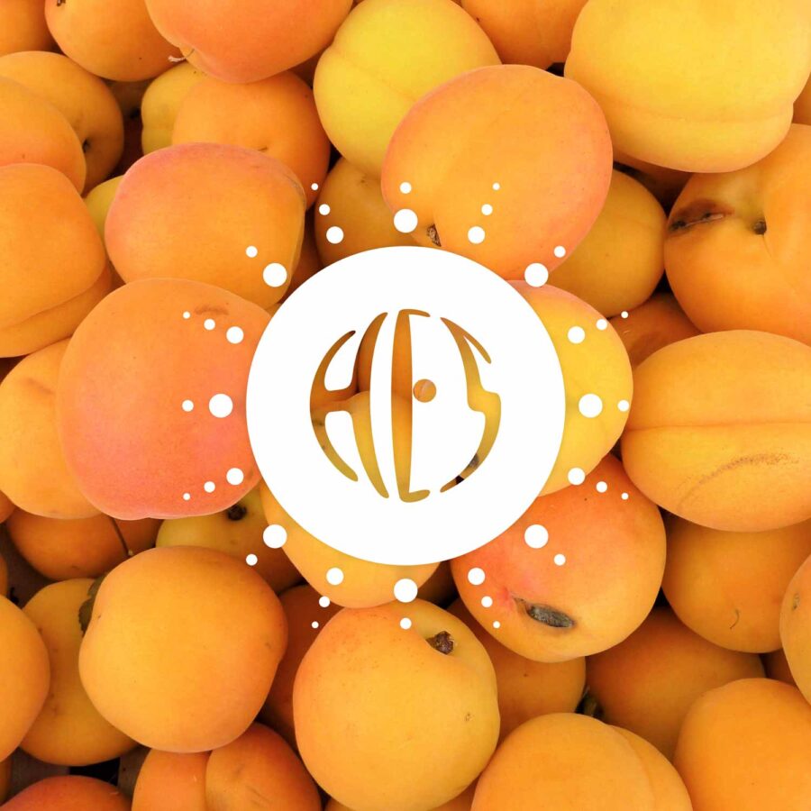 Apricot 12 HESF