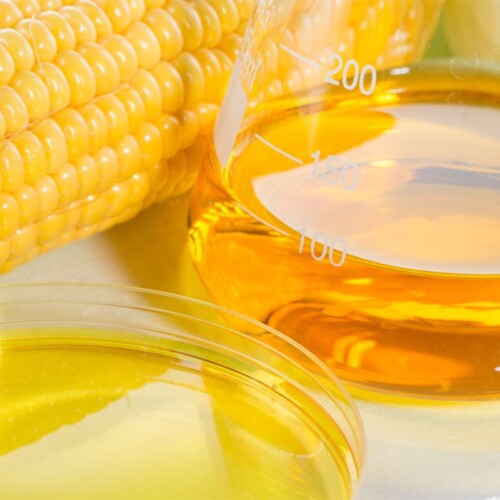 1-2 Taste FiberSMART Corn Syrup 90% in beaker beside fresh corn