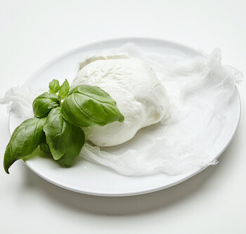 buffalo mozzarella