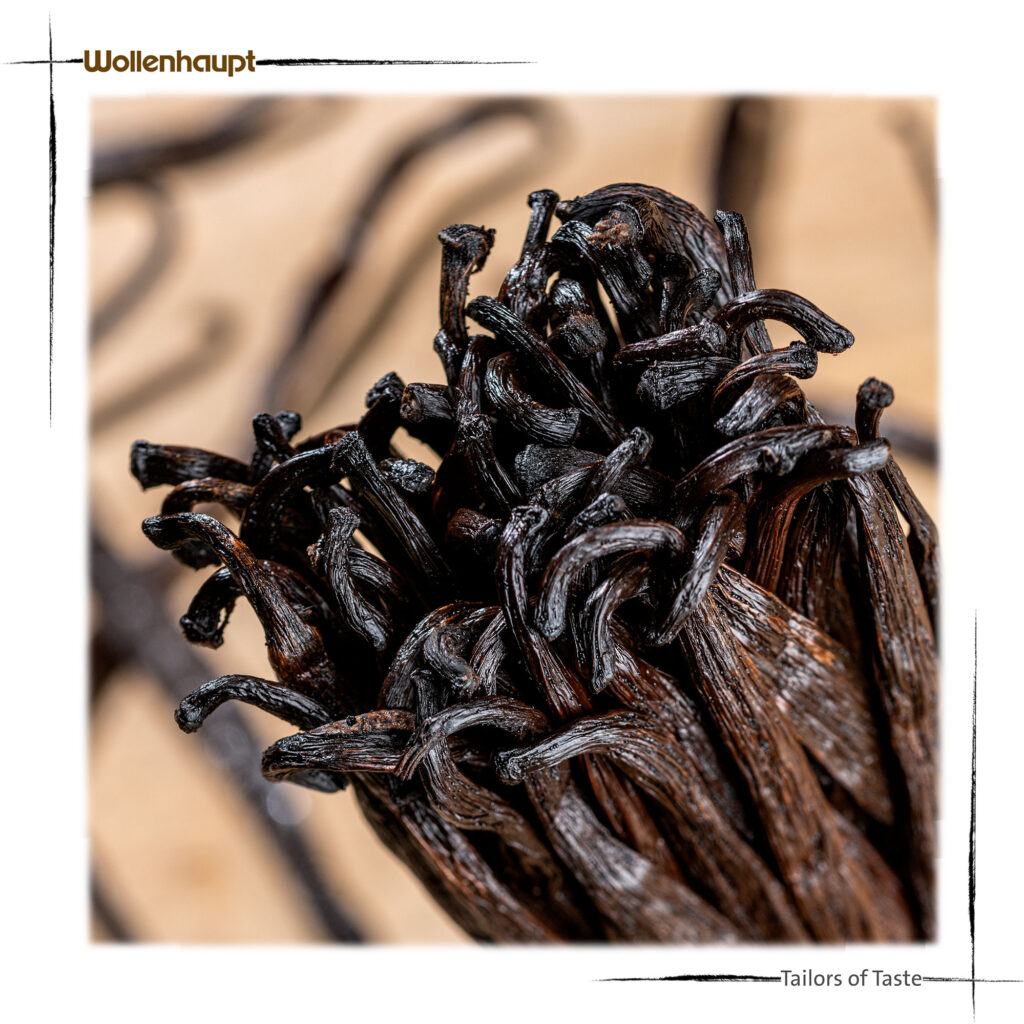 Wollenhaupt Bourbon Gourmet Vanilla Beans (16cm+) 70001 12Taste EU