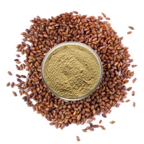 1-2 Taste Sarda Bio Polymers - Cassia Tora Gum (M80) powder in glass bowl surrounded by whole cassia tora seeds on white background