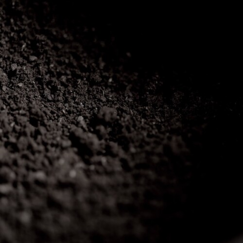 1-2 Taste JS Cocoa – Extra Dark Alkalized Cocoa Powder BLACK TORO™, showing its fine, rich black-brown texture in low lighting