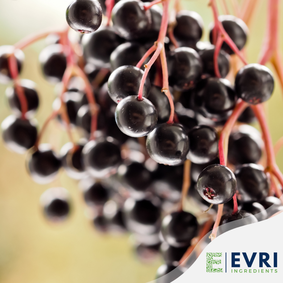 Elderberry