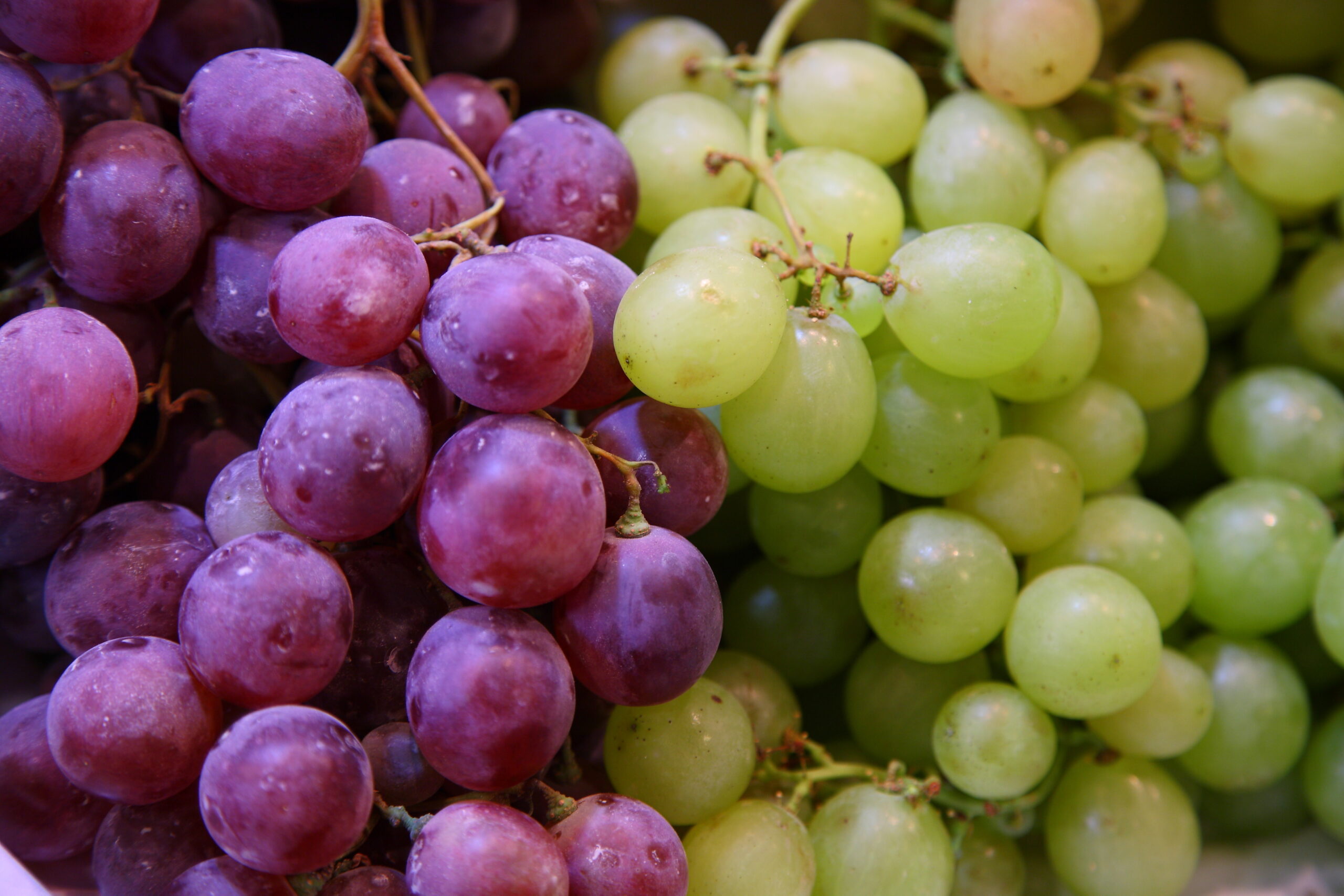 Grapes,Red,Green