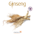 1-2 Taste Nexira - Red Ginseng Powder Extract (5% Ginsenosides) with whole ginseng roots and powder, French origin label visible