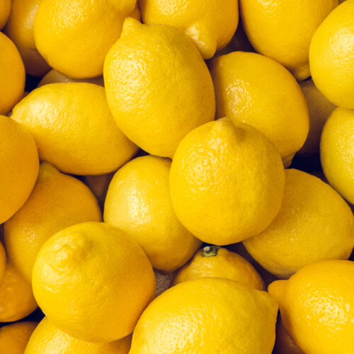 Lemon Juice Concentrate 12 Taste