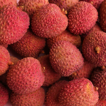 LYCHEE scaled