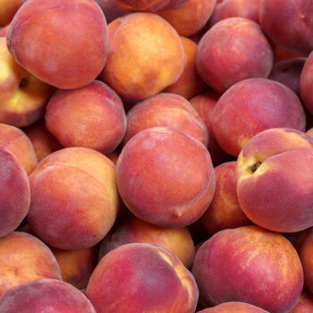 Gatoshop - Les purées de fruits SAVEURS à 50% de teneur en