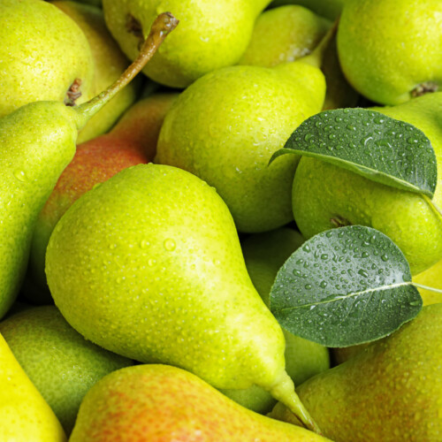 Pear Juice Concentrate 12 Taste
