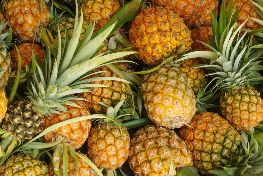 PINEAPPLE scaled