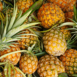 PINEAPPLE scaled