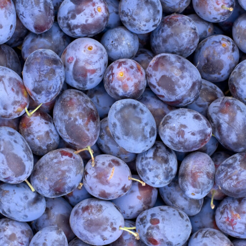 Plum Puree 12 Taste