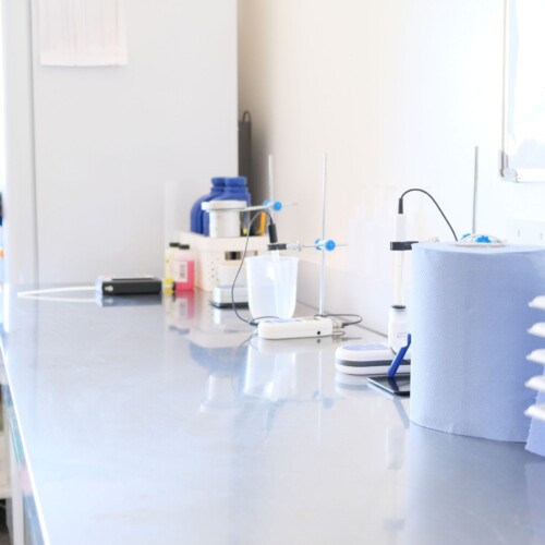 FoodBuzz Preservation & ShelfLife Extension Testing 12Taste EU