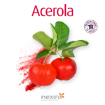 1-2 Taste Nexira - Acerola Extract 17% Native Vitamin C, shown with fresh acerola cherries and French origin label