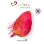 1-2 Taste Nexira - Cactinea™ Clear Organic - Prickly Pear Powder Extract with whole fruit visual and French origin label