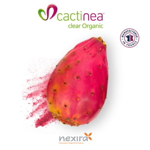 1-2 Taste Nexira - Cactinea™ Clear Organic - Prickly Pear Powder Extract with whole fruit visual and French origin label