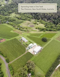 farm ANP farm ANP