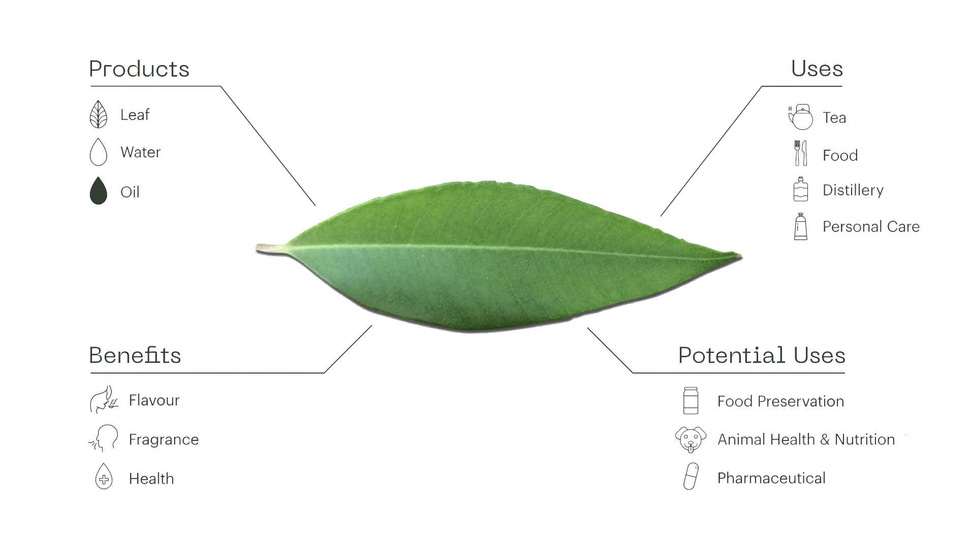 functional health benefits Australian Native products functional health benefits Australian Native products