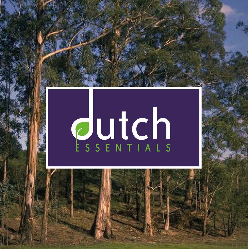 Dutch Essentials Photo